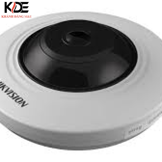 Cam IP DS-2CD2955FWD-I